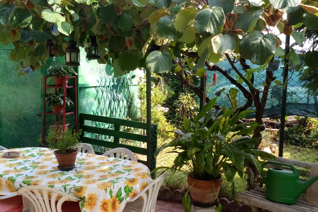 giardino
