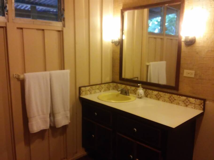 Master Bath Vanity