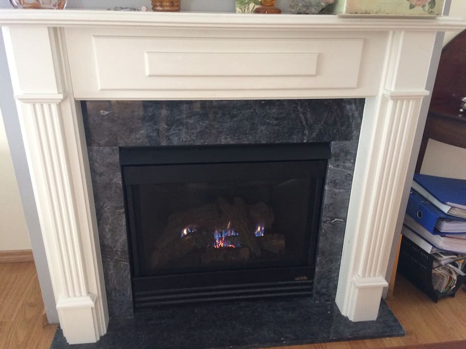 Gas fireplace
Gasspeis
