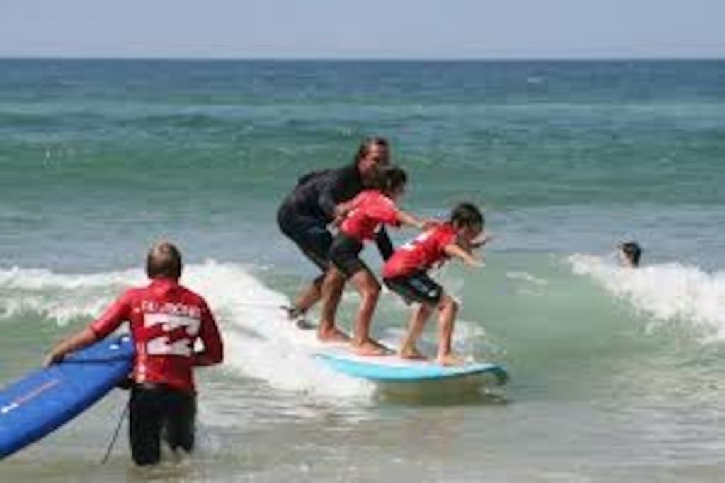 Surf Culture