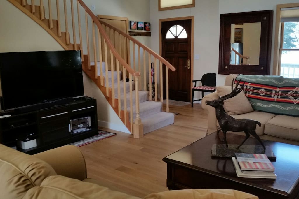 Large flat screen tv, cable, WIFI, DVD player.