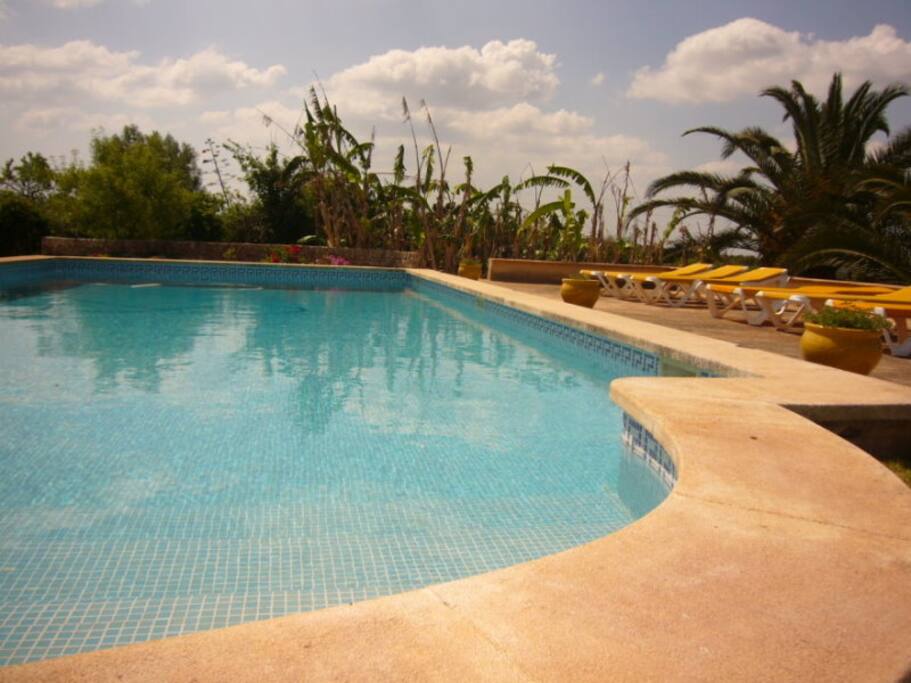 Pool und Sonnenliegen
