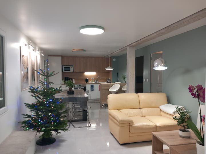 Appartement 35' To Paris/orly/saclay/versailles - Massy
