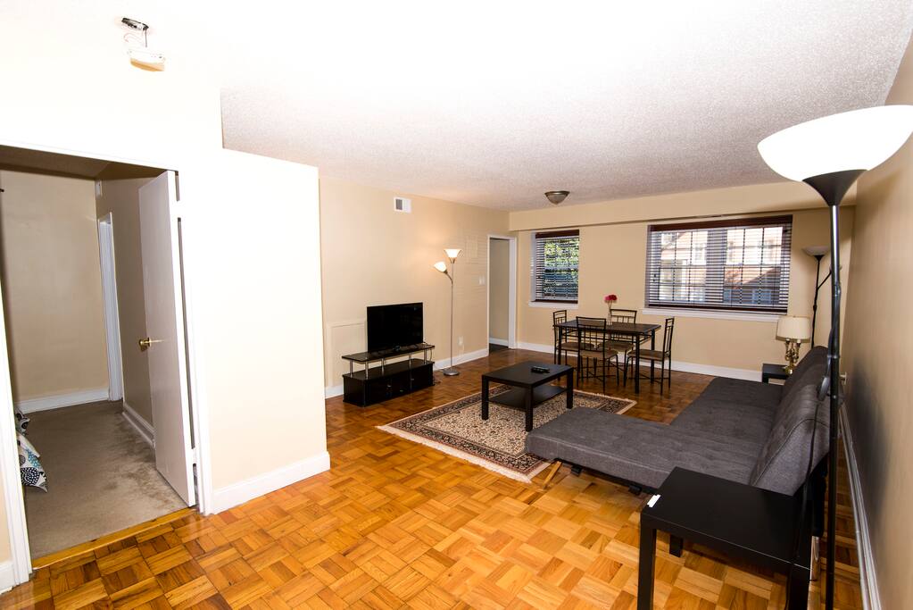 General view of living room. TV, sofa bed, dining table.
