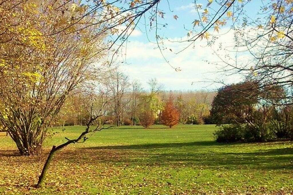 Il giardino in autunno
