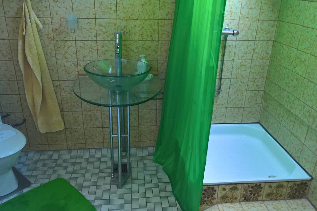 Bathroom with toilet, shower, and roof window.