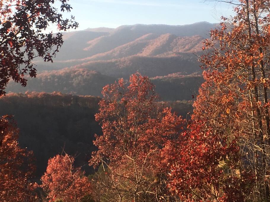 Porch view in autumn