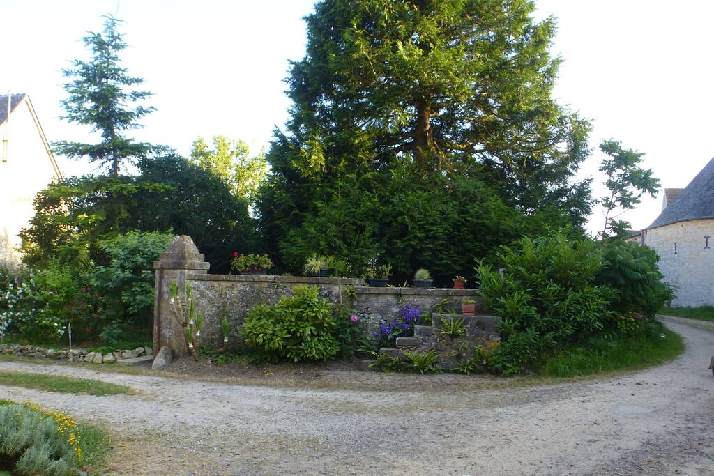 un coin côté jardin rafraîchissant et reposant