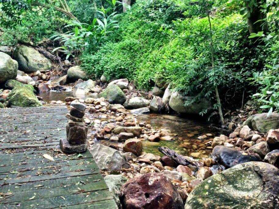 The mountain stream that flows through the garden is a great place to escape for peace and quiet. When down there it feels like you are in different world. Its magical for children - a place to discover fairies or go on a tadpole catching expedition.