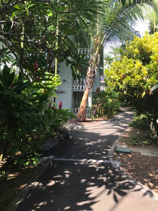 Pathway to Ali'i Drive