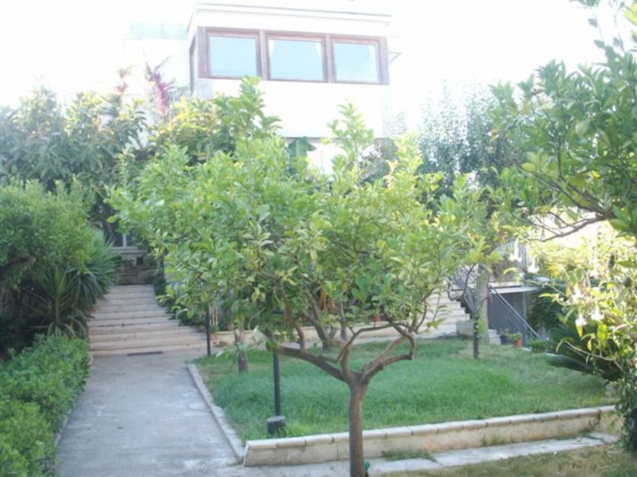 Giardino condominiale