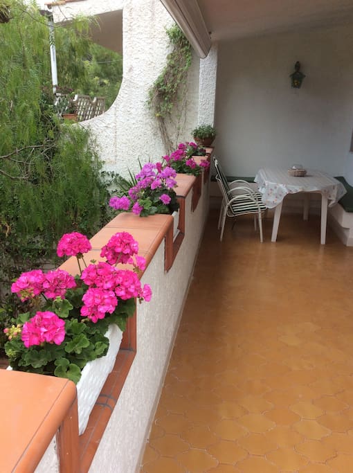 Terrazza