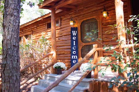Log Cabin Winter Retreat, Fast WiFi, serene lake