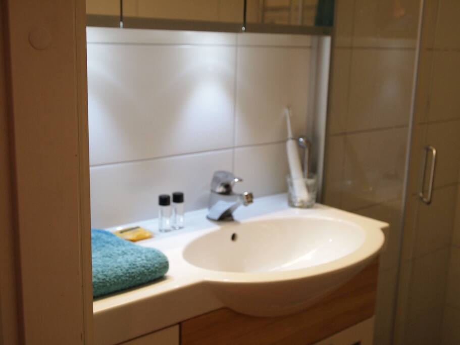 Lavatory with shower.