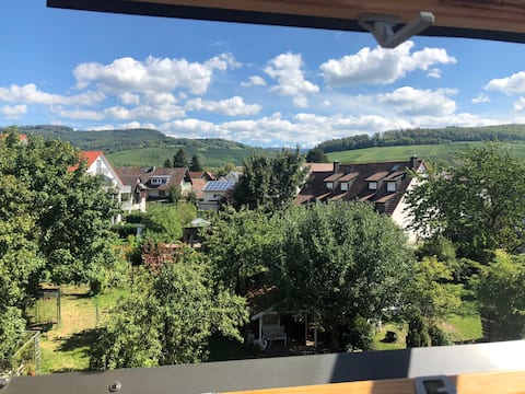 Jackson's Black Forest View 1