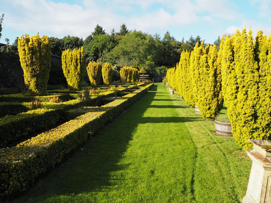 Golden Terrace