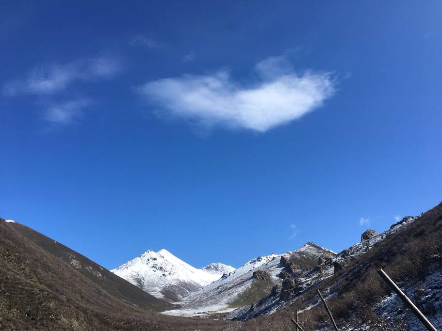 牧场雪山