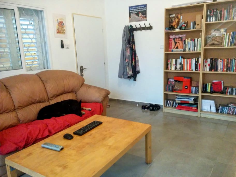 Living-room. Dog not included! ;)
