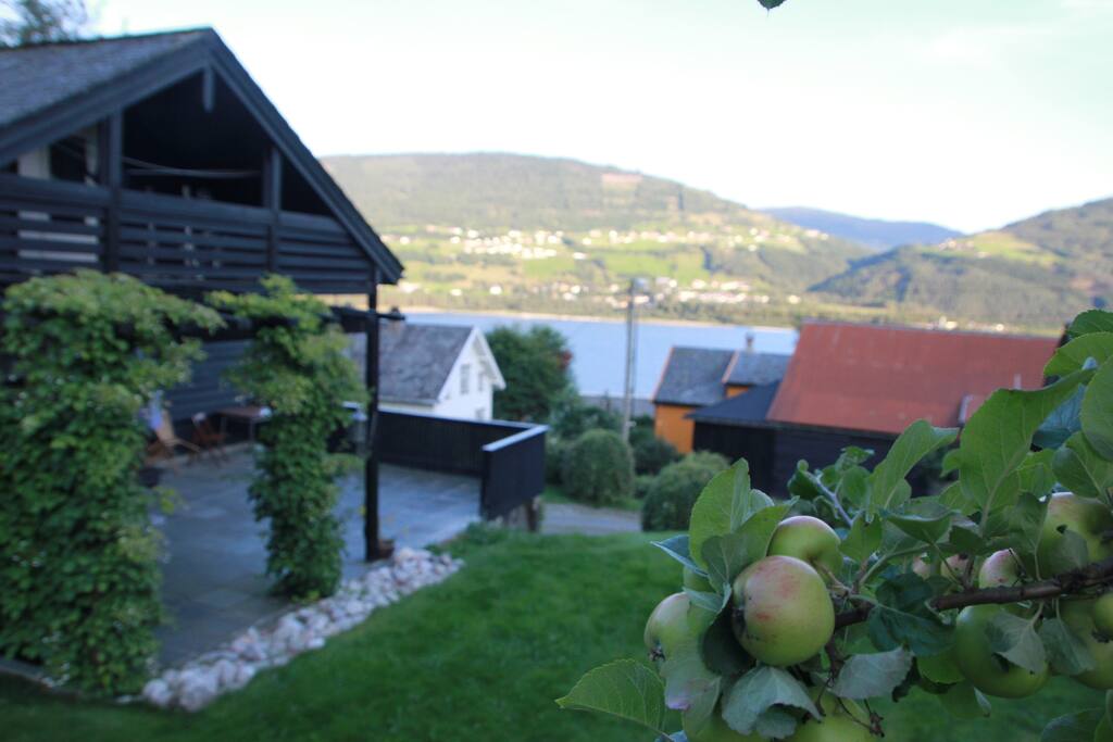 The garden offers both apples and raspberries during the summer and fall.