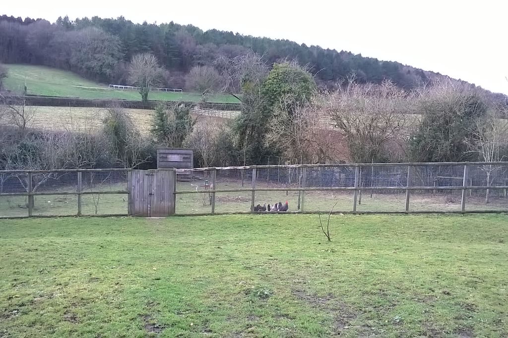 Set in five acres of land.