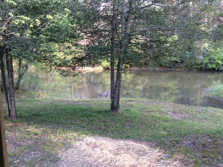 Down by the river