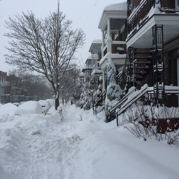 Le temps de l'hiver/ Winter time