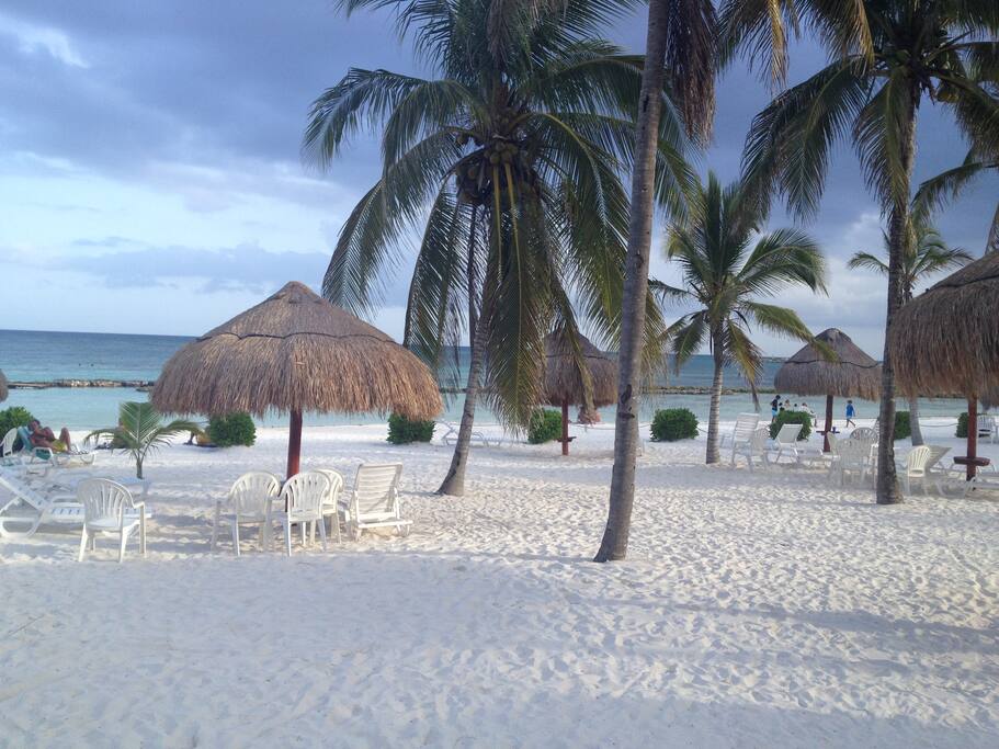 Our beautiful private beach with coconut trees and palapas (chairs provided)