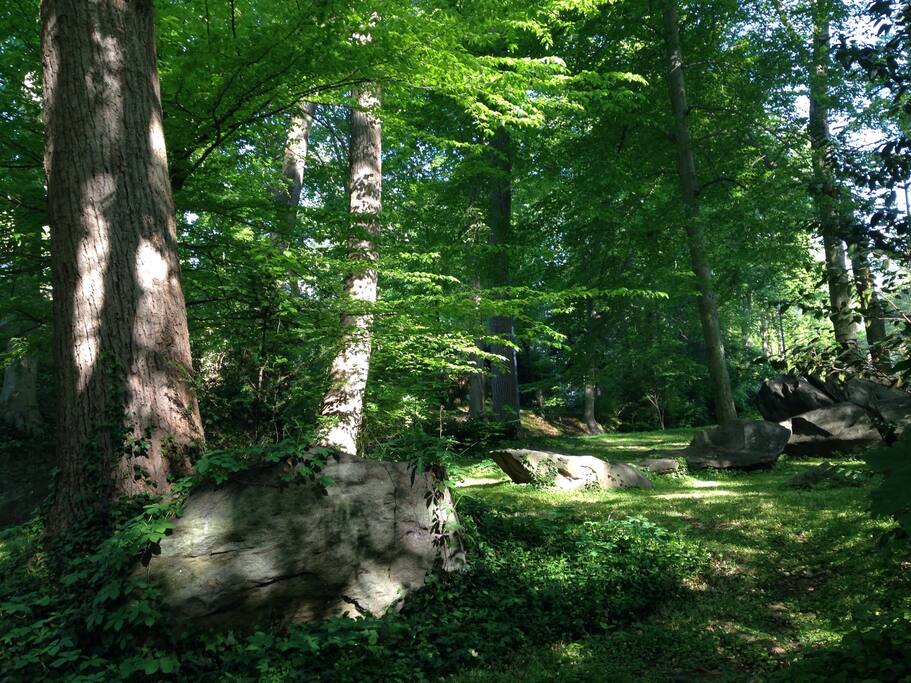 Quiet woods with stream on 12 acres