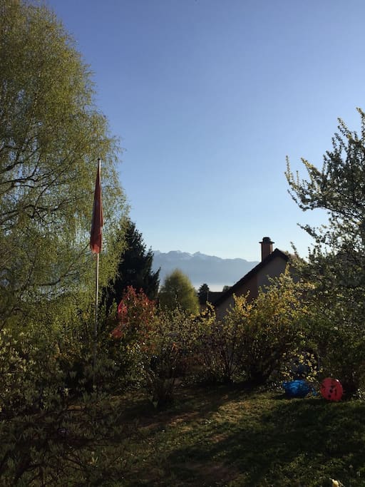 An uplifting morning view of the alps from the garden.