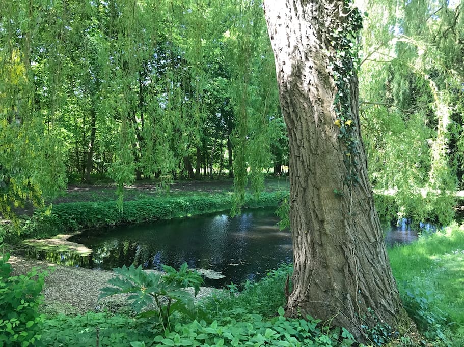 Der Teich im hintern Teil des großen Gartens