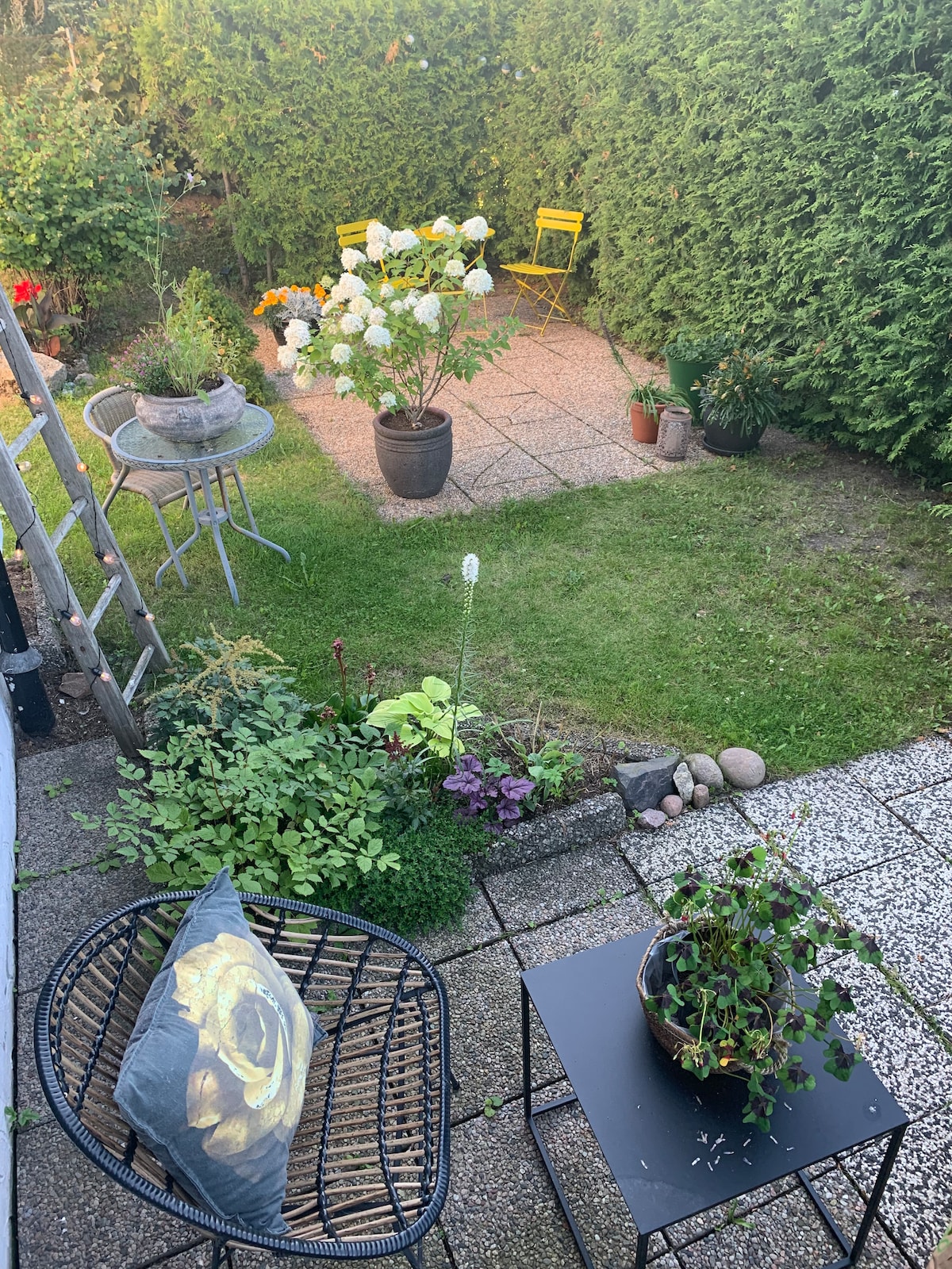 A well-maintained garden area features a combination of greenery and flowering plants. A small seating arrangement with two yellow chairs is visible, alongside a decorative table and potted plants. The stone paving creates a defined space for relaxation.