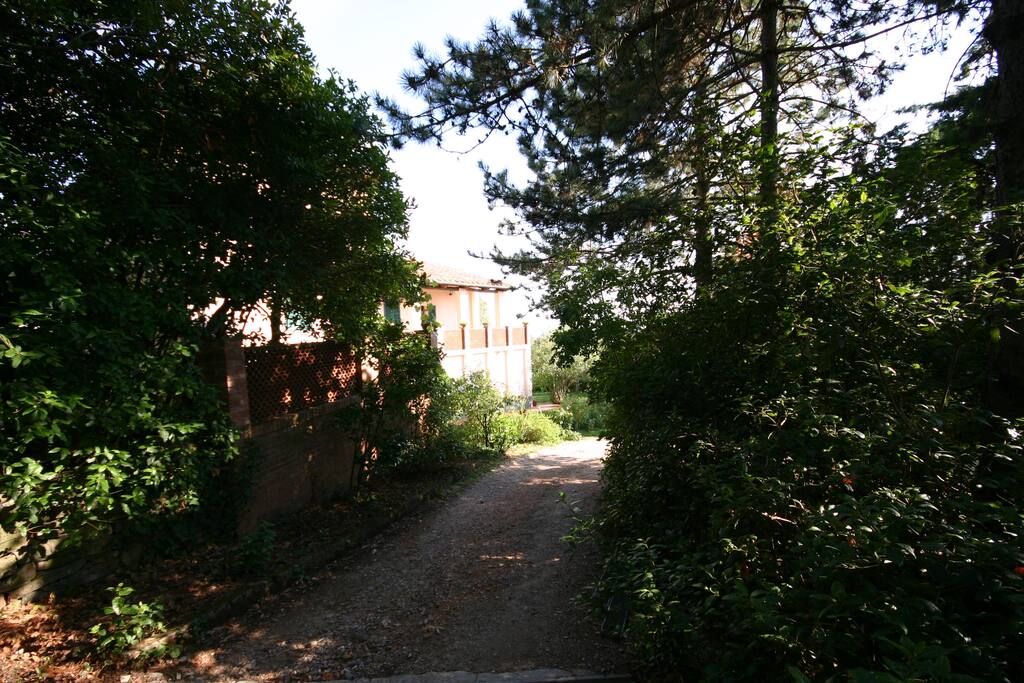 viale di accesso