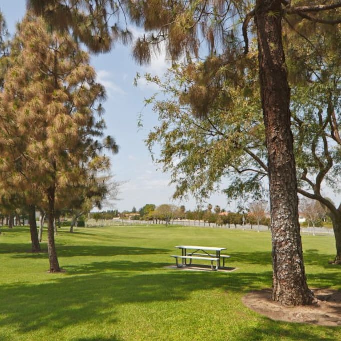 Lots of parks nearby