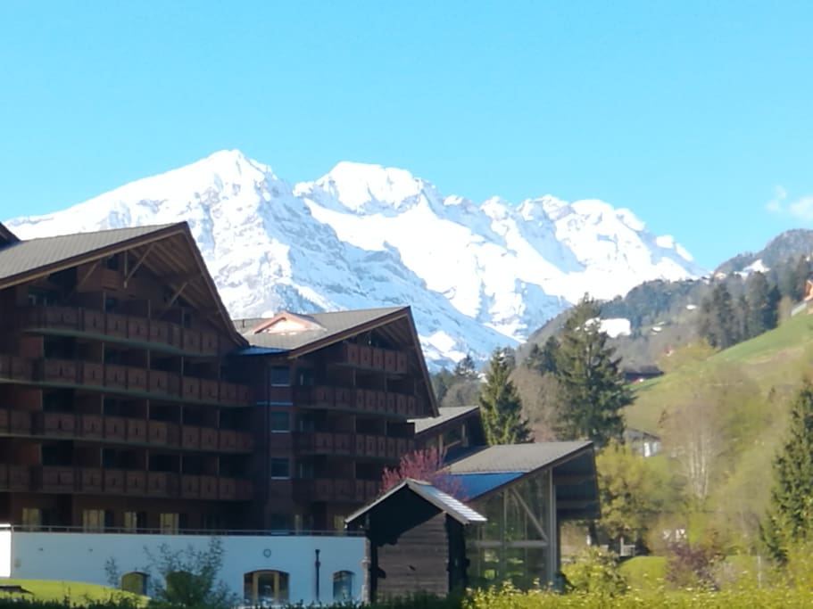 Vue sur la montagne