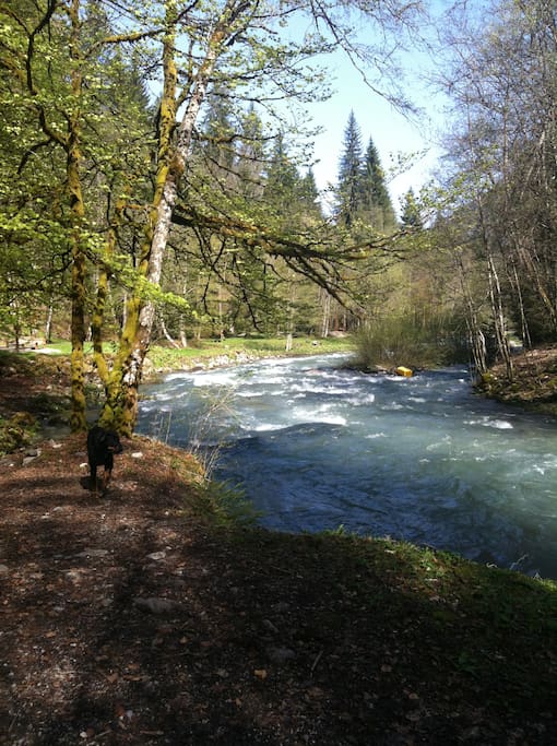 Local river walk a few minutes away