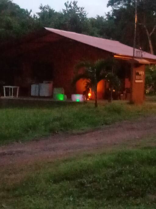 Anatarce en el campo