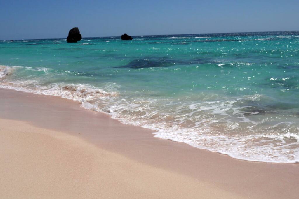 Warwick Long Bay shore line... 5 - 10 minutes walk from Donna's