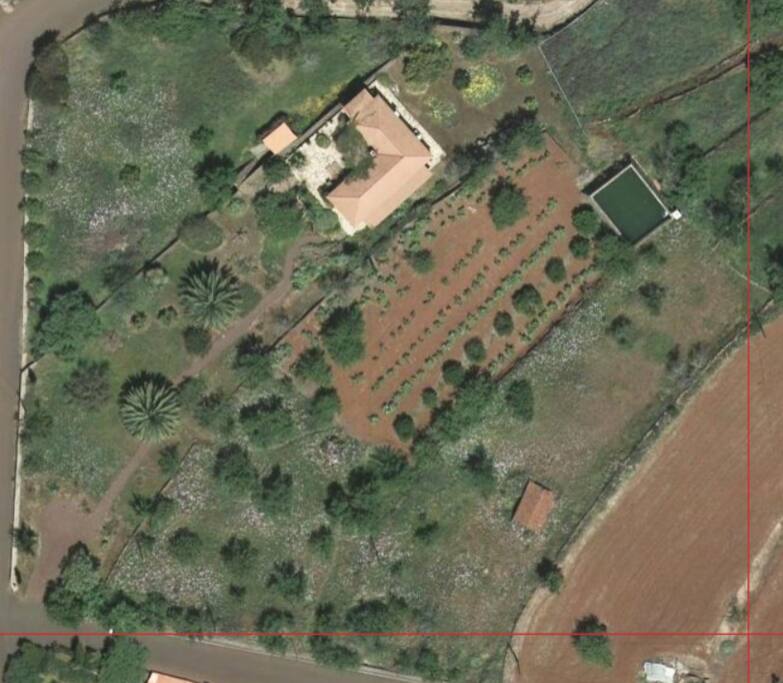 Riesige Finca mit tropischem Garten