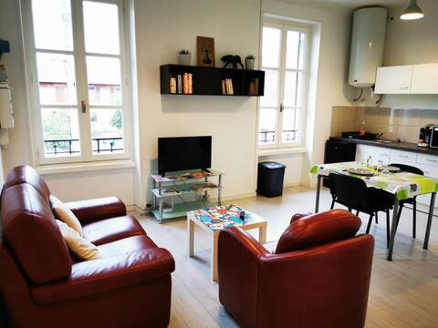 Entire 3 room apartment Lyon Carré de Soie..