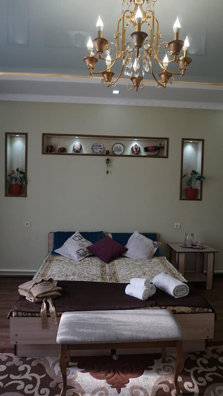 Toto je izba v apartmáne. Jeden hosť za 16 dolárov. Dvaja hostia za 22 dolárov. V tejto izbe sú k dispozícii aj jednolôžka.