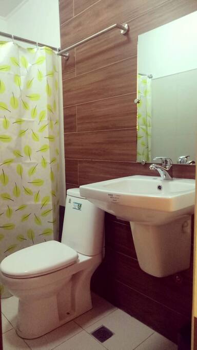 Private toilet and bath inside the room (behind the shower curtain is the bathroom)