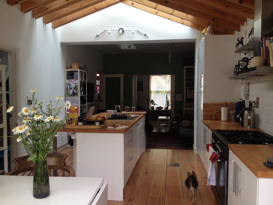 Large modern open plan kitchen