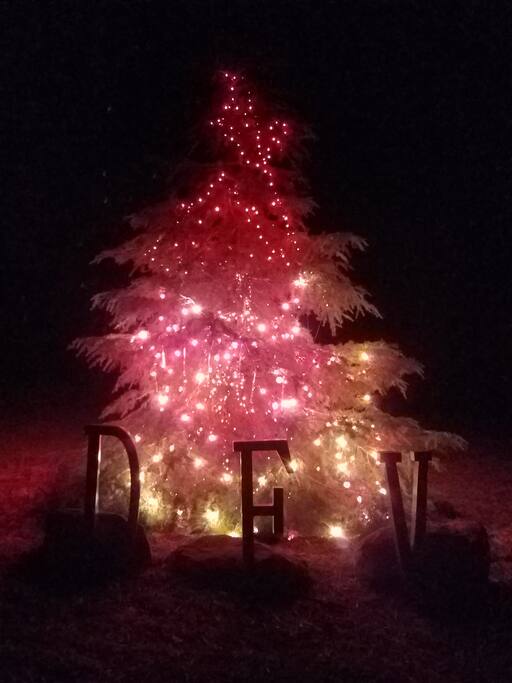 Our Xmas Cedar welcomes you!