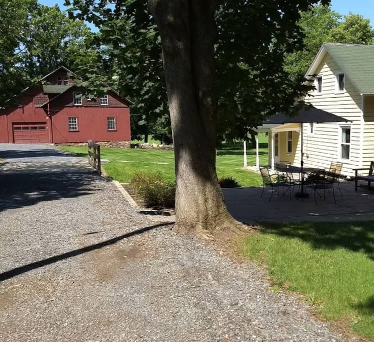 Barn and driveway
