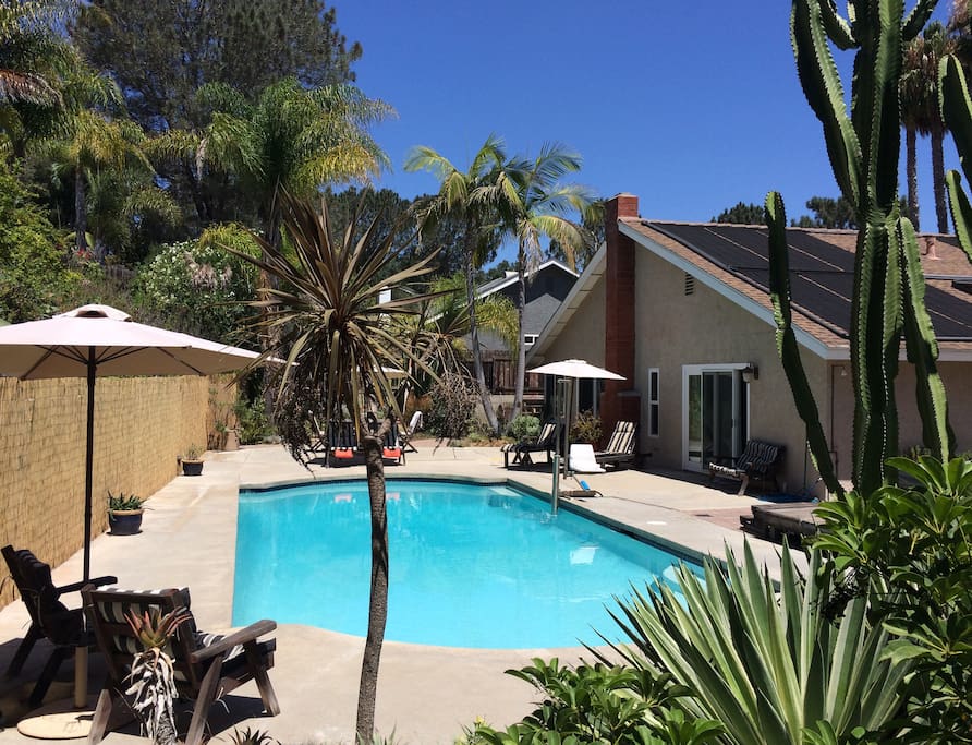 The serene pool and patio area is surrounded by mature succulent gardens, tropical xeriscaping, organic garden beds, and spa, with walking/wheelchair paths.