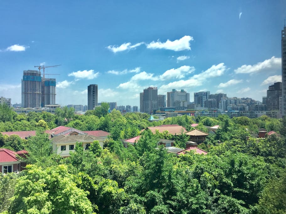 小区风景