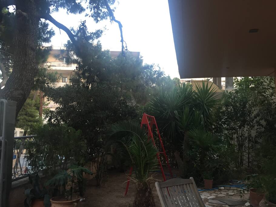 Yard