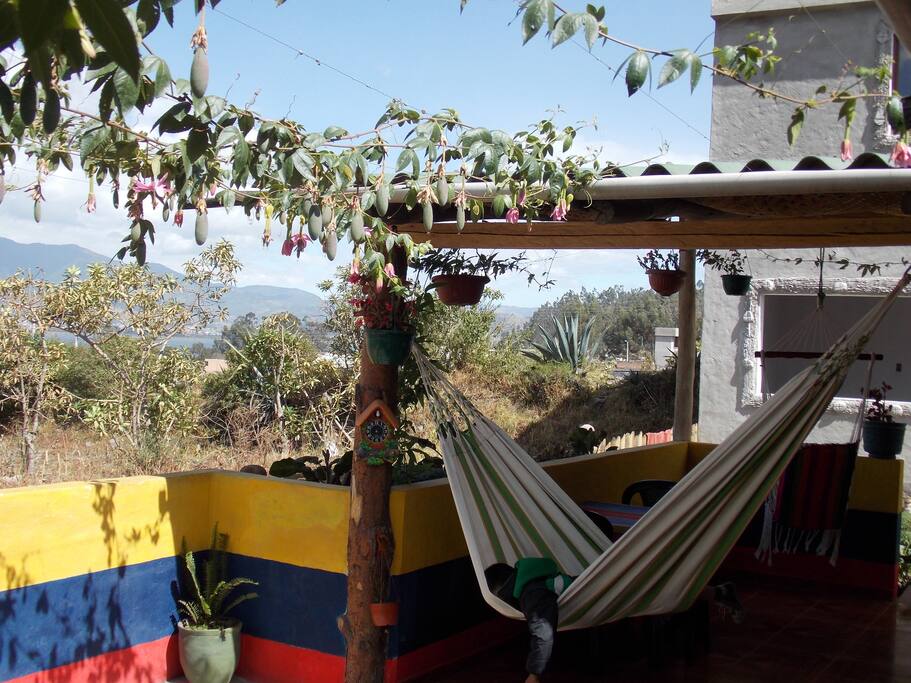 patio con hamacas.