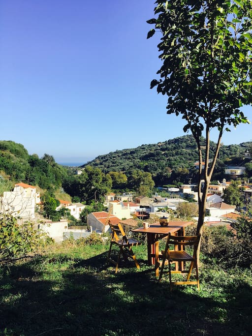 View