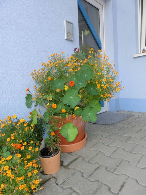 unser Eingang